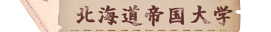 kC鍑w